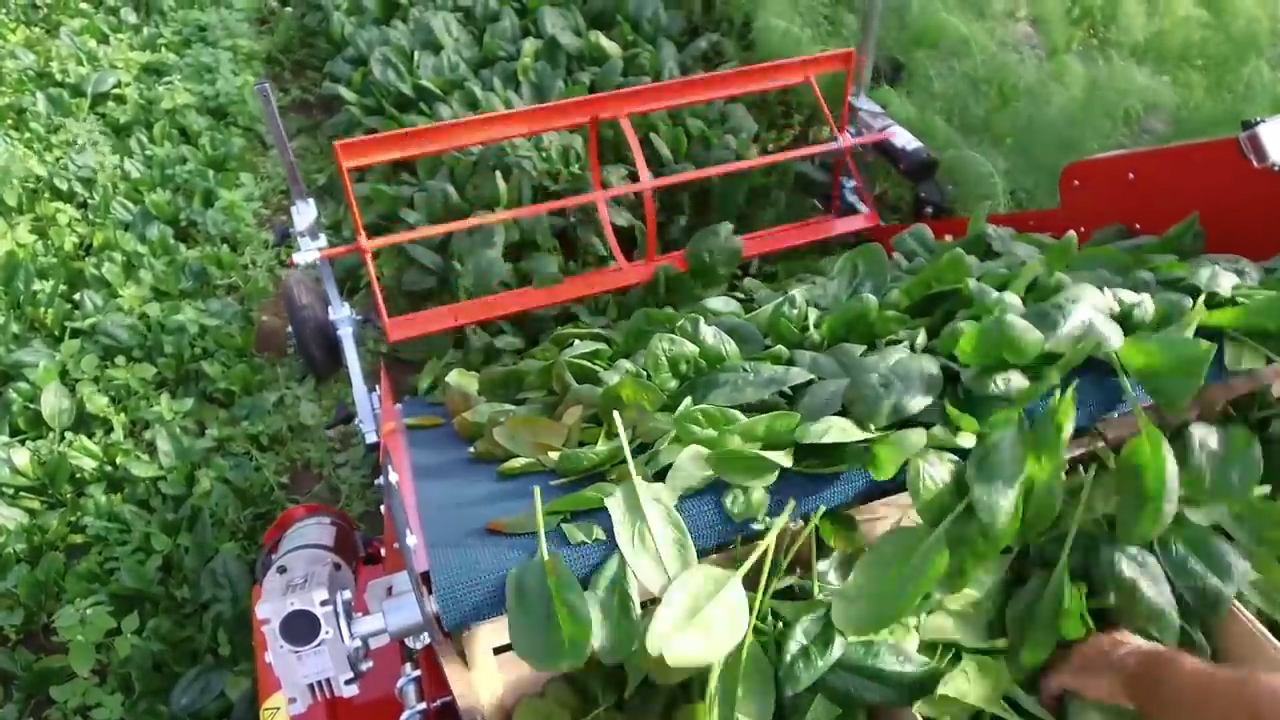 Máquina de cosecha de campo