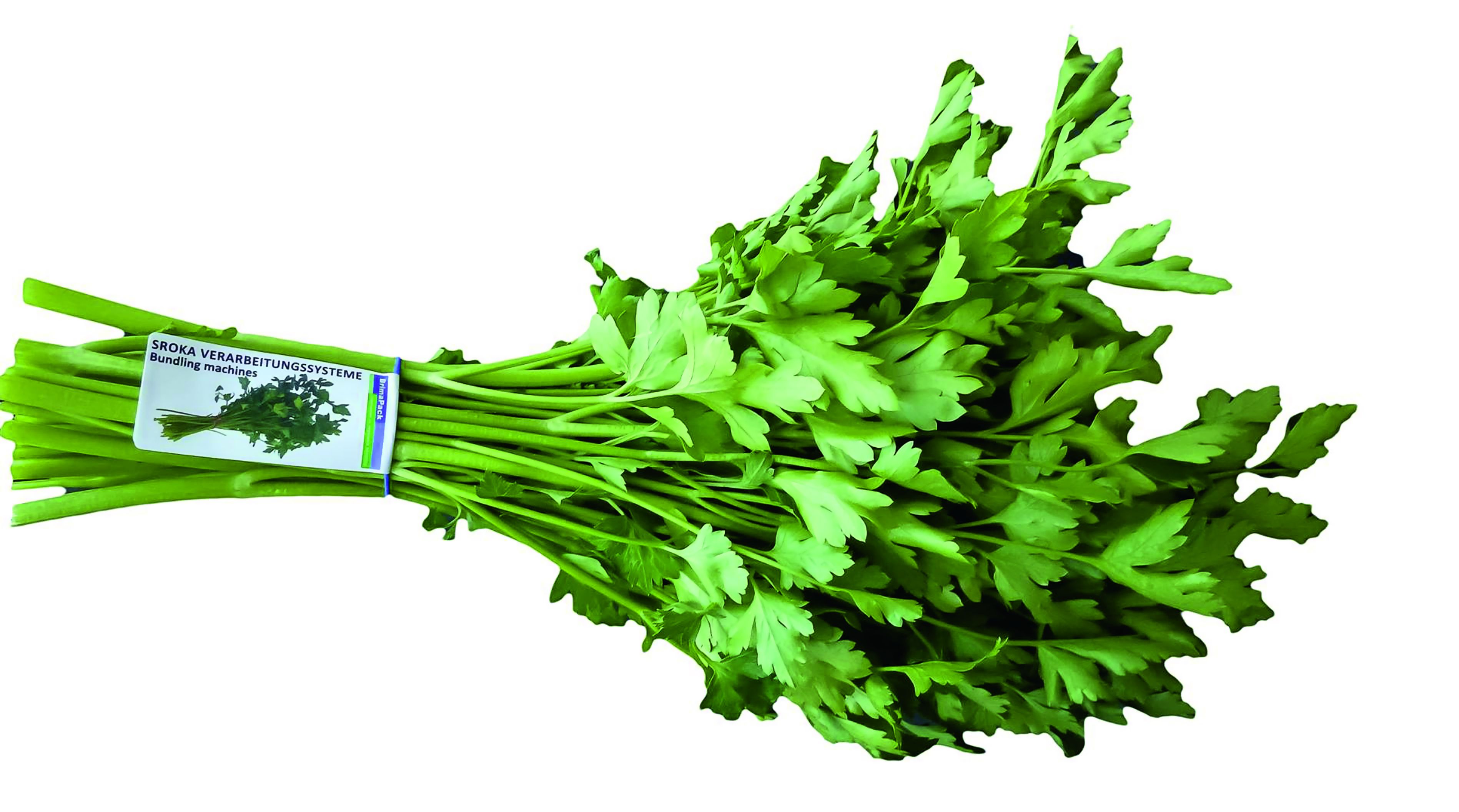 Bundling and labeling of parsley