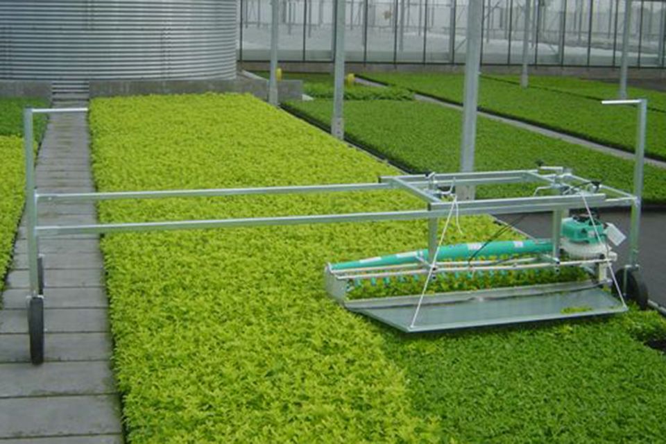 Harvesting belts